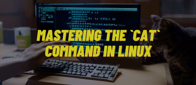 Master the `cat` command in Linux to display, combine, and create text files efficiently. This guide covers basic usage, advanced options, and practical applications.byHasanul Haque Banna